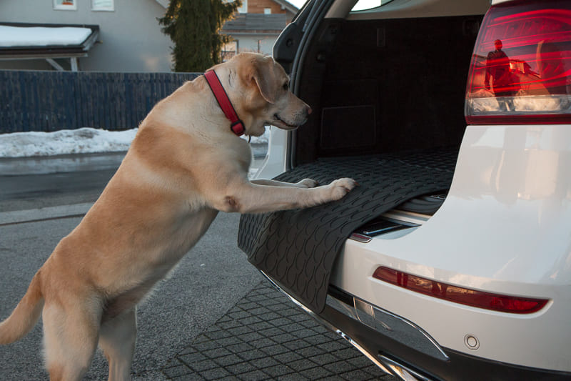 MULTIMAT 3-WWW.SAMAD.MK-LISTING